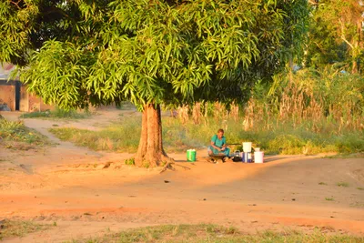 DSC_4271 (Large).JPG